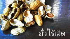 ภาพขำๆ ฮาๆ ชวนหัวเราะ