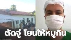 ชายบราซิลโดนตัดเจ้าโลกโยนให้หมูกิน