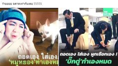 ปวินเทียบ หมูหยอง หมาที่เลี้ยงกับ ผู้นำ ตอนใส่รองเท้า