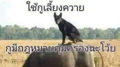 ภาพฮาๆ ฟินๆ ตอนเที่ยง