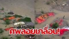 พบศพ "เหยื่อโควิด-19" จำนวนมาก โผล่ลอยบนแม่น้ำคงคา ประเทศอินเดีย เนื่องจากระดับน้ำสูงขึ้นในช่วงต้นฤดูฝนของอินเดีย
