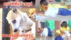 รวมภาพความฮา ฮาแบบไม่ไหวแล้ว!!