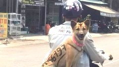ขำขำ ตลกๆ ตอนเที่ยง