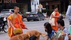 ขำขำ ตอนเที่ยงๆ