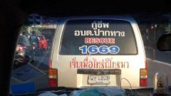 รวมภาพน่ารัก ๆ คลายเครียดจ้า