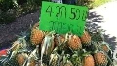 เฮฮากันเถอะ ช่วยสุขภาพดี