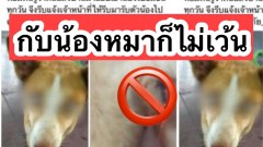 สลด! ชายแอบลักพาตัวน้องหมาไปทำอนาจารทุกวัน