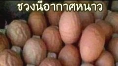 คิดว่าใช่!!ภาพเฮฮา