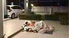 ภาพฮาๆ ขำก๊าก ตอนเย็น