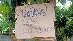 ภาพตลกๆ คลายเครียด ตอนเย็น