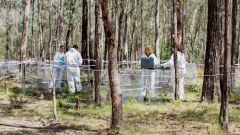 ฟาร์มศพ (Body Farm) สถานที่สุดแปลก แต่มีประโยชน์อย่างน่าเหลือเชื่อ!