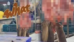 มาเป็นแก็งเลย!อวสานผัดกระเพรา