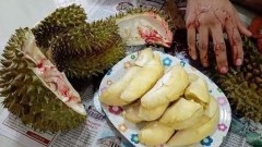 เฮฮา มนต์รักสันเขื่อน พับเบาะด้วย