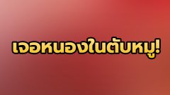 สยอง! เจอหนองในตับหมู