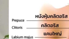 ตรงนั้น..ตรงนี้..ของน้องสาวมีหน้าที่??