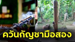 เพจดังเตือน!! สายเขียว สายดูด สายบ้อง ควันจากการปุ๊นกัญชา ก็ไม่ต่างจากการดูดควันบุหรี่