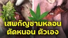อ.เจษฯ เตือนระวัง!! สายเขียว!! เสพกัญชามาก อาจหลอน "ตัดหนอน ตัวเอง" ตามข่าว