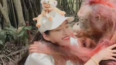 ฮาไม่ไหว สาวสวยนมโตโดนลิงจับหน้าอกเน้นๆๆขณะไปเที่ยว