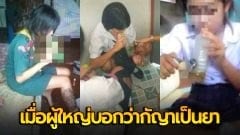 เมื่อผู้ใหญ่​บอกกัญชาเป็นยา​ จึงไปซื้อหากันมาสูบ มีขายทุกที่หาซื้อได้ง่าย
