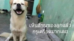 ภาพฮาๆ ตลกๆ ตอนเย็น