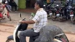 ขำขำ ตลกๆ คลายเครียด