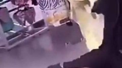 ซัดกันนั่ว!! 2 สาว ตบสนั่นจนขี้แตก กลางห้าง (คลิป)