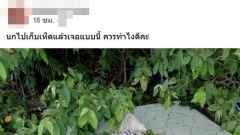 นกเข้าป่าไปเก็บเห็ด แล้วเจอแบบนี้ ควรทำไงดีคะ?