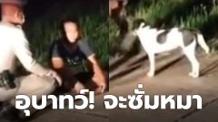 หนุ่มอารมณ์ค้าง แฟนไม่ยอมมีไรด้วย อุ้มหมาเข้าห้องน้ำ เตรียมซั่ม