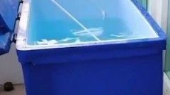 "เอมี่" ขอลงครั้งแรกแช่น้ำแข็ง ตอนลงอย่างมันตอนจบอย่างพีค