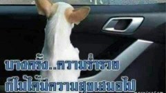 ตลกๆ ขำขำ ตอนเย็น