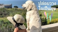 ภาพฮาๆ ขำขำ ตลกๆ