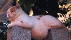 ภาพตลกๆ ขำขำ วันหยุด