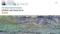 แชร์สนั่น!! หนุ่มงมหาปลา หาเท่าไหร่ก็ไม่เจอ ทำไมมันเป็นแบบนี้