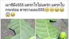 รวมภาพเรียกรอยยิ้ม: ขำๆฮาๆขี้แตก!
