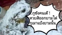 จันทร์ ฮาๆ ครายเครียดๆ