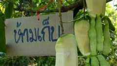 รวมภาพขำๆ..ฮาๆ..ขี้แตกวันหยุด!!