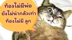 ขำกระจาย..!! ชวนหัวเราะ..!!