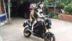 ขำขัน..!!🤣 เรียกเสียงฮา..!!😂