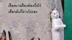 ภาพฮาๆ ตลกๆ ตอนเช้า