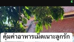 กรี๊ด!!! เมื่อไปวัดทำบุญ เห็นผู้ชายกำลังเล่นกับหมา อยากเกิดเป็นหมาเลยค่ะ