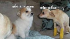 ตลกๆ..ขำๆ..ฮากระจาย!!!