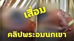 เสื่อมอีกคงนกขมิ้น!! คลิปหลุดพระอมนกเขาคากุฏิ พาผู้ชายมานอนไม่ซ้ำหน้า