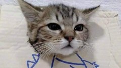ตลกๆ ขำขำ ตอนเย็น