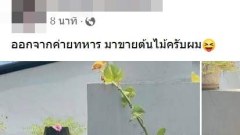 หนุ่มออกจากทหาร ผันตัวขายต้นไม้ ชาวเน็ตอึ้ง ต้นไม้ตอใหญ่มาก