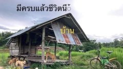 ขำขำ ตลกๆ ตอนเช้า