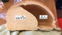 ขำๆ ตลกๆ ตอนเย็น