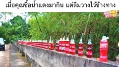 ตลกๆ ขบขันๆ ฮาๆ!!