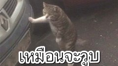 ขำขำ ตอนเที่ยง
