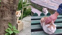 ตลกๆ ขำขำ ตอนเย็น