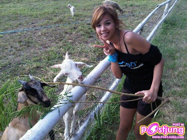 หนูเล็ก บลูเบอร์รี่ อาร์สยาม